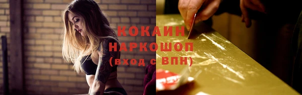 винт Абаза