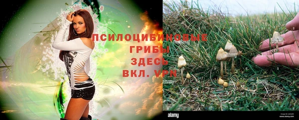 дмт Абдулино