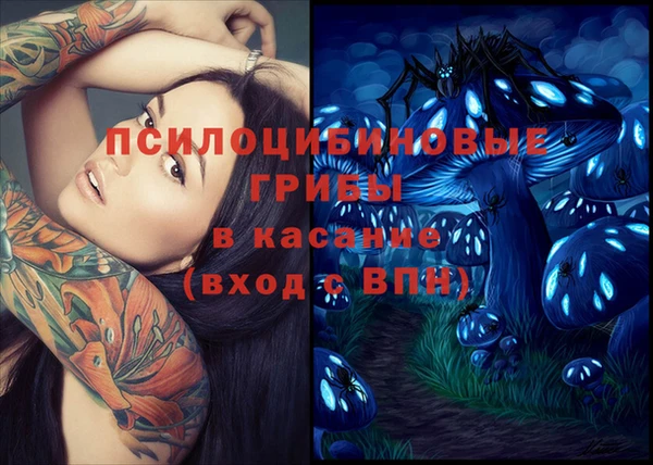 сатива Сатка
