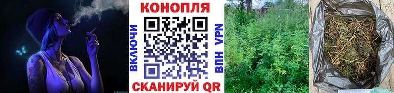 Шишки марихуана гибрид Белоусово